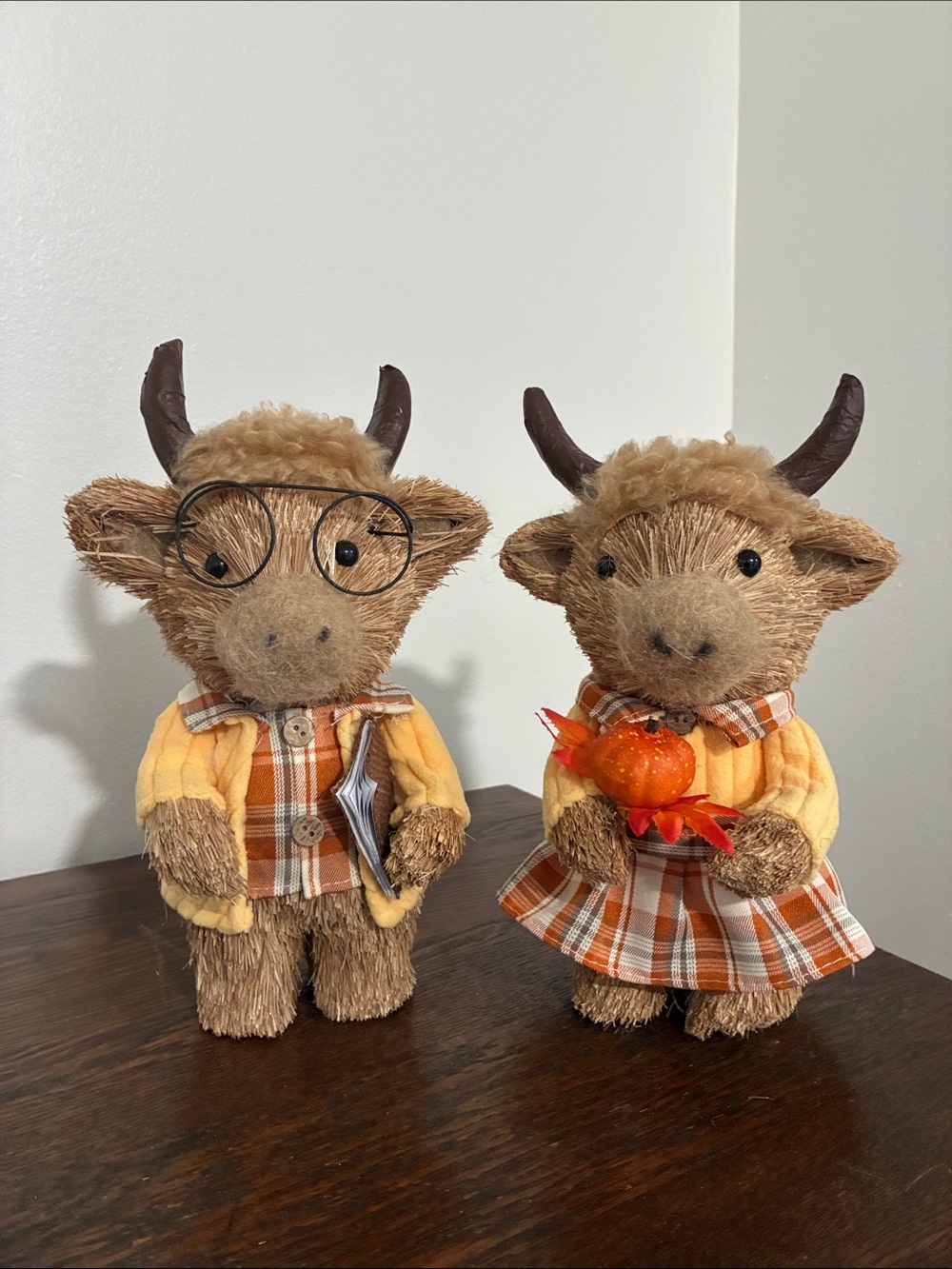 NWT- Super Cute- Hand Crafted- Fall- Sisal- Highland Cow Couple Decorations